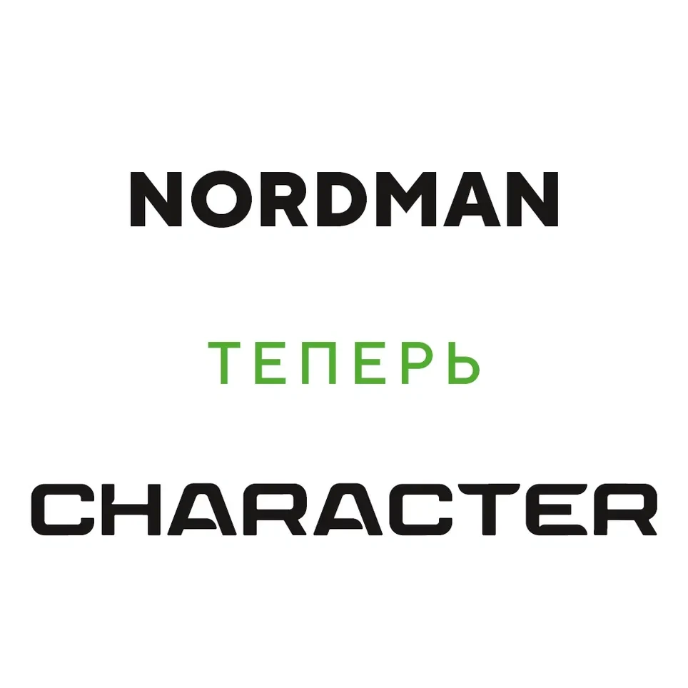 Ikon (Nokian Tyres) Character Snow 2 175/65 R14 86R (XL) заказать